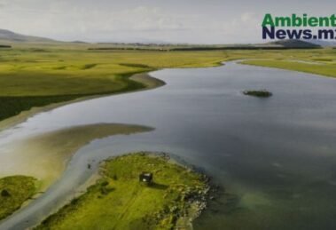 AMBIENTALNEWSMX WEB 33