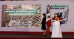 AMBIENTALNEWSMX WEB 34