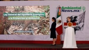 AMBIENTALNEWSMX WEB 34