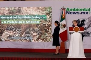 AMBIENTALNEWSMX WEB 34