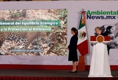 AMBIENTALNEWSMX WEB 34