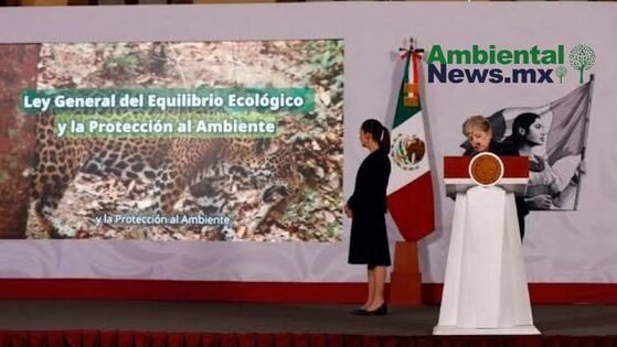 AMBIENTALNEWSMX WEB 34