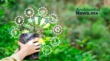 AMBIENTALNEWSMX WEB 36
