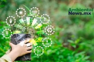 AMBIENTALNEWSMX WEB 36