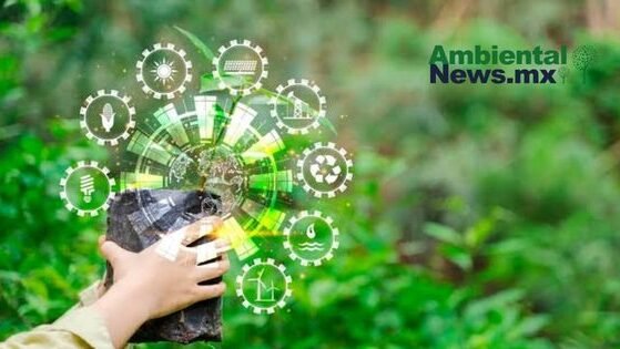 AMBIENTALNEWSMX WEB 36