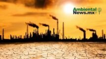 AMBIENTALNEWSMX WEB 4 1