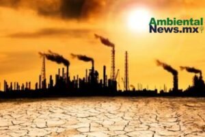 AMBIENTALNEWSMX WEB 4 1