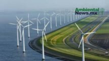 AMBIENTALNEWSMX WEB 4 2