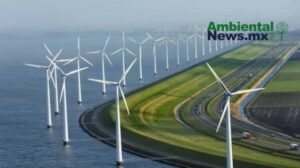 AMBIENTALNEWSMX WEB 4 2