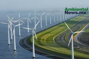 AMBIENTALNEWSMX WEB 4 2