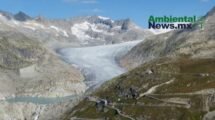 AMBIENTALNEWSMX WEB 4 3