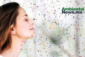 AMBIENTALNEWSMX WEB 4 4