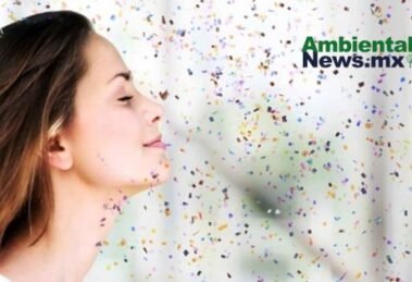 AMBIENTALNEWSMX WEB 4 4