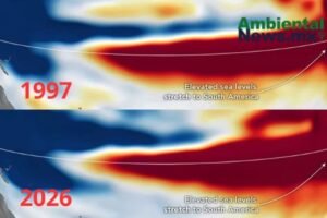 AMBIENTALNEWSMX WEB 4 5