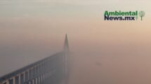 AMBIENTALNEWSMX WEB 47