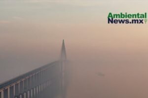 AMBIENTALNEWSMX WEB 47