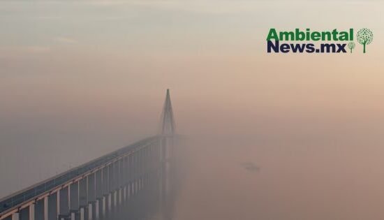 AMBIENTALNEWSMX WEB 47