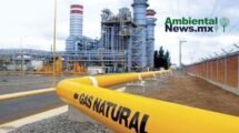 AMBIENTALNEWSMX WEB 5 3