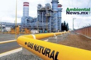 AMBIENTALNEWSMX WEB 5 3