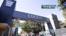 AMBIENTALNEWSMX WEB 5 4