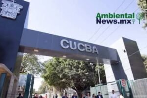 AMBIENTALNEWSMX WEB 5 4