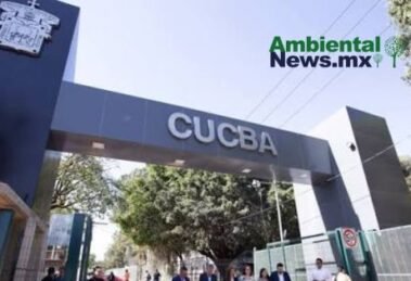 AMBIENTALNEWSMX WEB 5 4