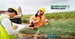 AMBIENTALNEWSMX WEB 51