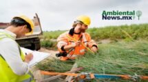 AMBIENTALNEWSMX WEB 51