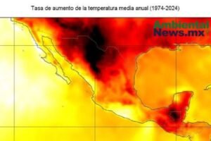 AMBIENTALNEWSMX WEB 52