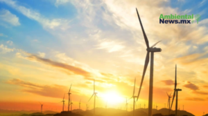 AMBIENTALNEWSMX WEB 6 1