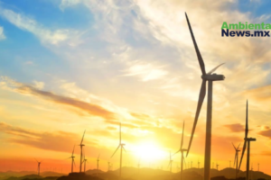AMBIENTALNEWSMX WEB 6 1