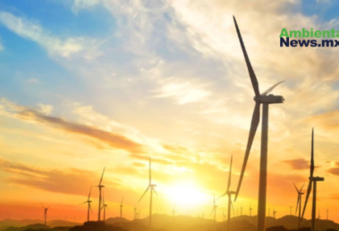 AMBIENTALNEWSMX WEB 6 1