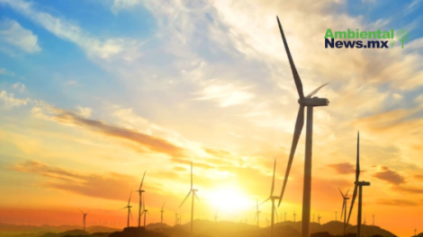 AMBIENTALNEWSMX WEB 6 1