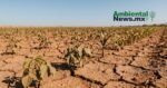 AMBIENTALNEWSMX WEB 6 2