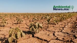 AMBIENTALNEWSMX WEB 6 2
