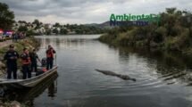 AMBIENTALNEWSMX WEB 7 1