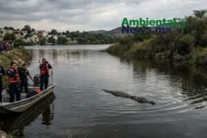 AMBIENTALNEWSMX WEB 7 1