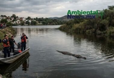 AMBIENTALNEWSMX WEB 7 1