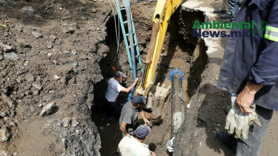 AMBIENTALNEWSMX WEB 7