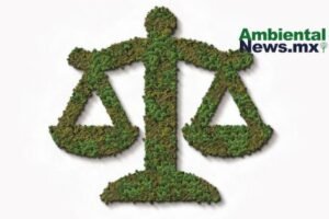 AMBIENTALNEWSMX WEB 9