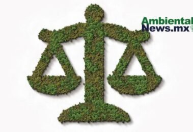 AMBIENTALNEWSMX WEB 9