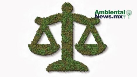 AMBIENTALNEWSMX WEB 9