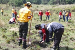 acciones que transforman