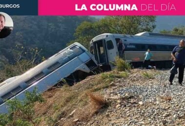 Al perro más flaco le cargaron todas las pulgas