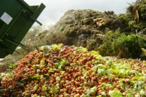 Alimentos