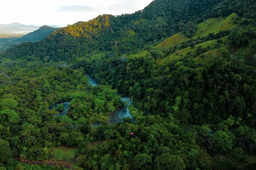 Áreas Naturales Protegidas
