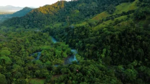 Áreas Naturales Protegidas