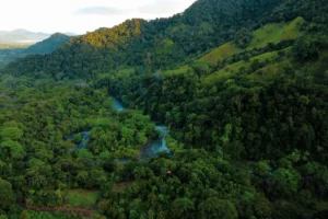 Áreas Naturales Protegidas