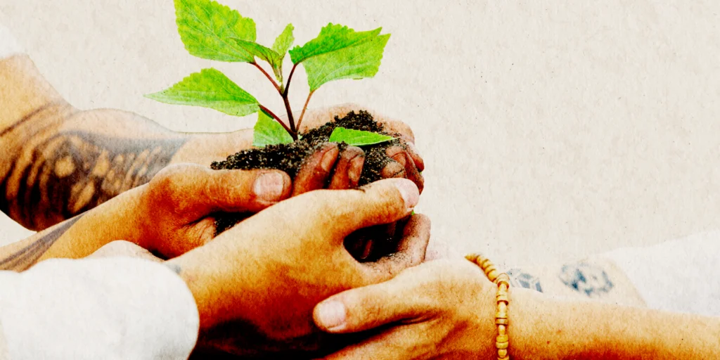 Reforestación urbana: ¿moda o necesidad? 10 Articulos Romi y Rob 1024x512 1