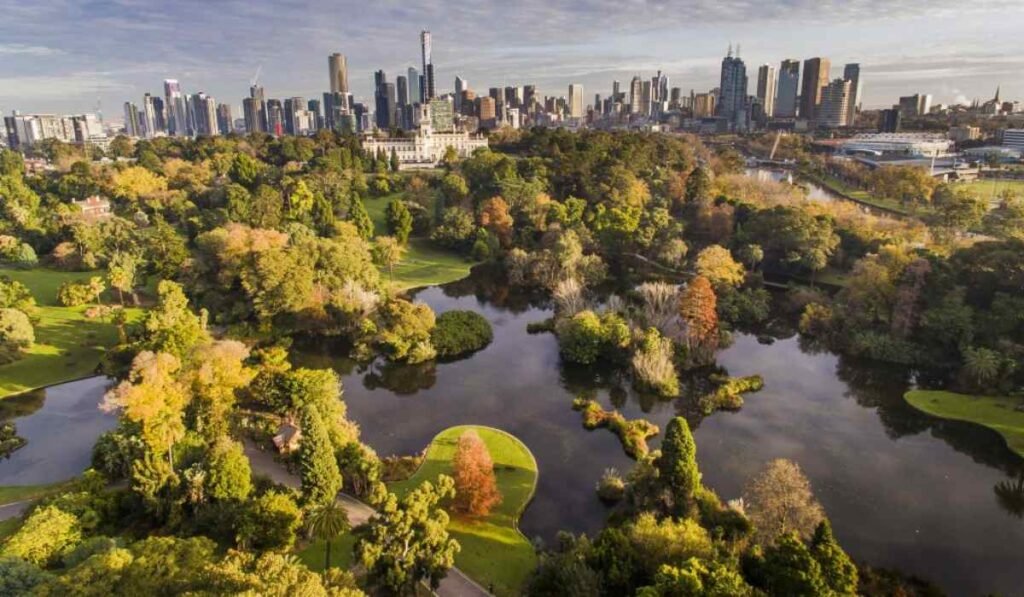 Biodiversidad urbana